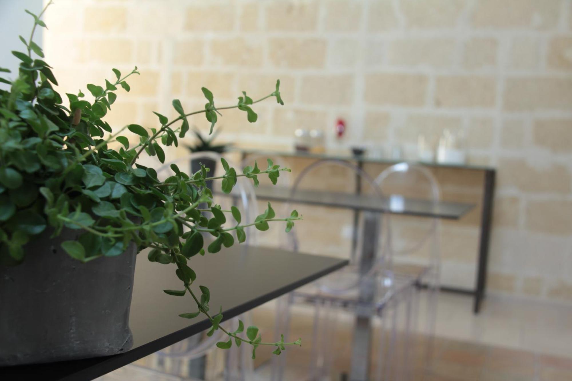 Lamia Room Rentals Matera Ngoại thất bức ảnh